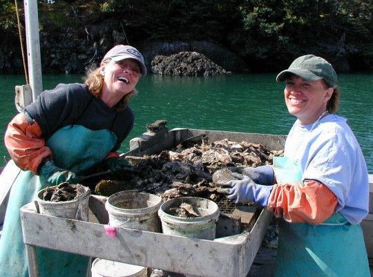 Alaska mariculture task force get closer to industry plan