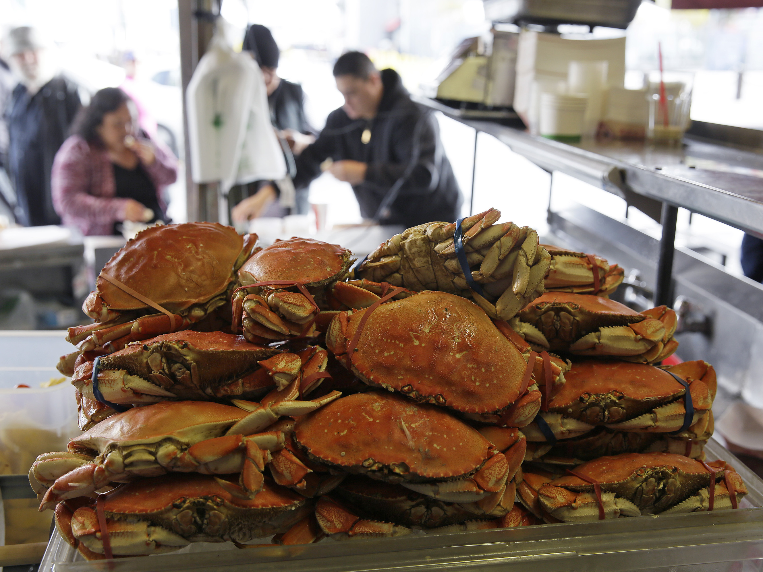 Warming oceans could boost dangerous toxin in your shellfish dinner