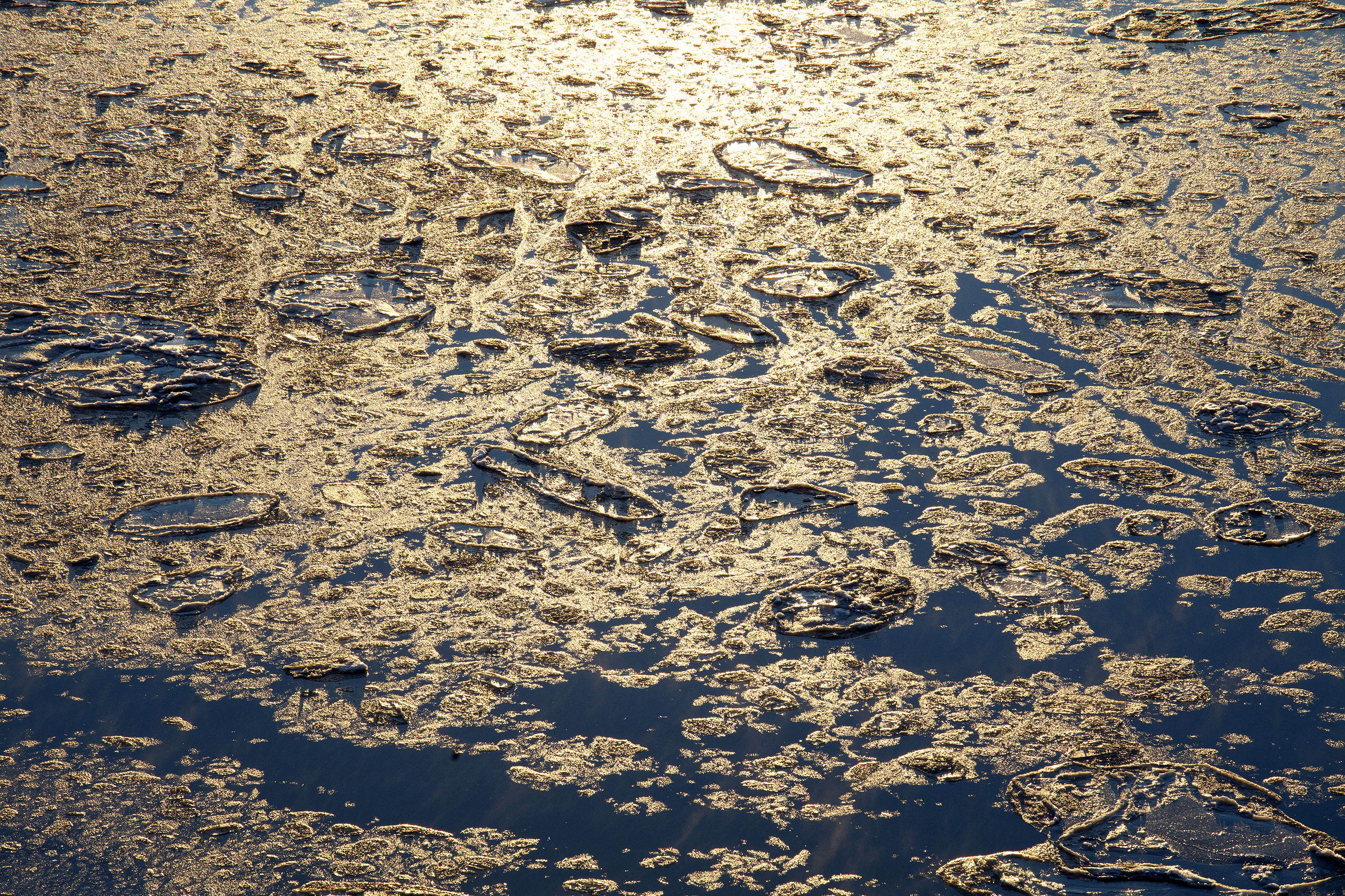 Cook Inlet company fined nearly half a million dollars for safety violations