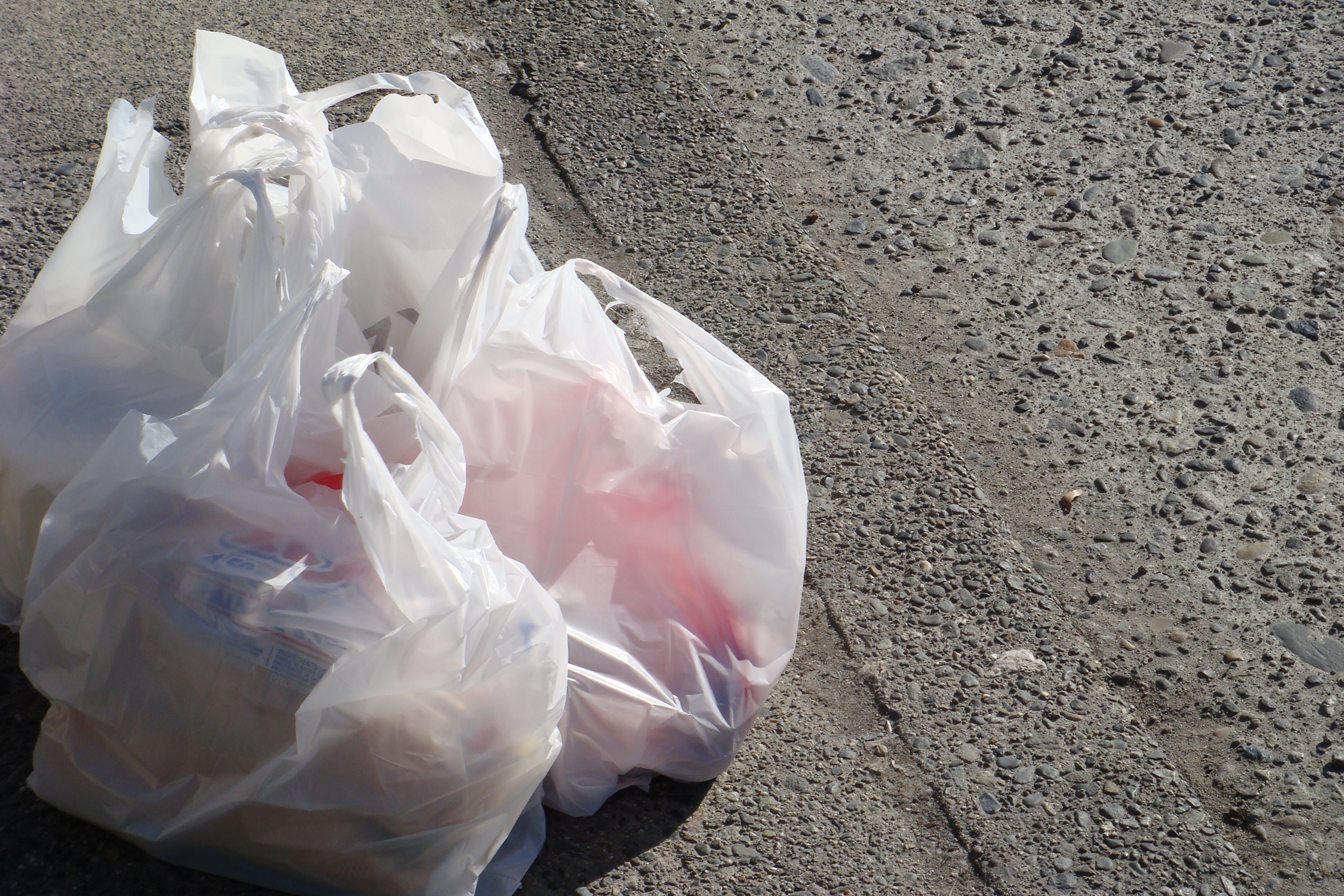 Ask the Energy Desk: Are plastic bag bans better for the environment?
