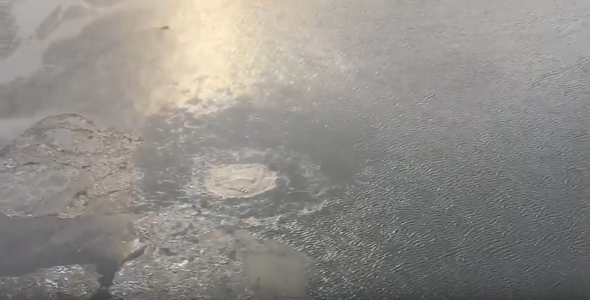 State demands Hilcorp monitor environmental impact of Cook Inlet gas leak