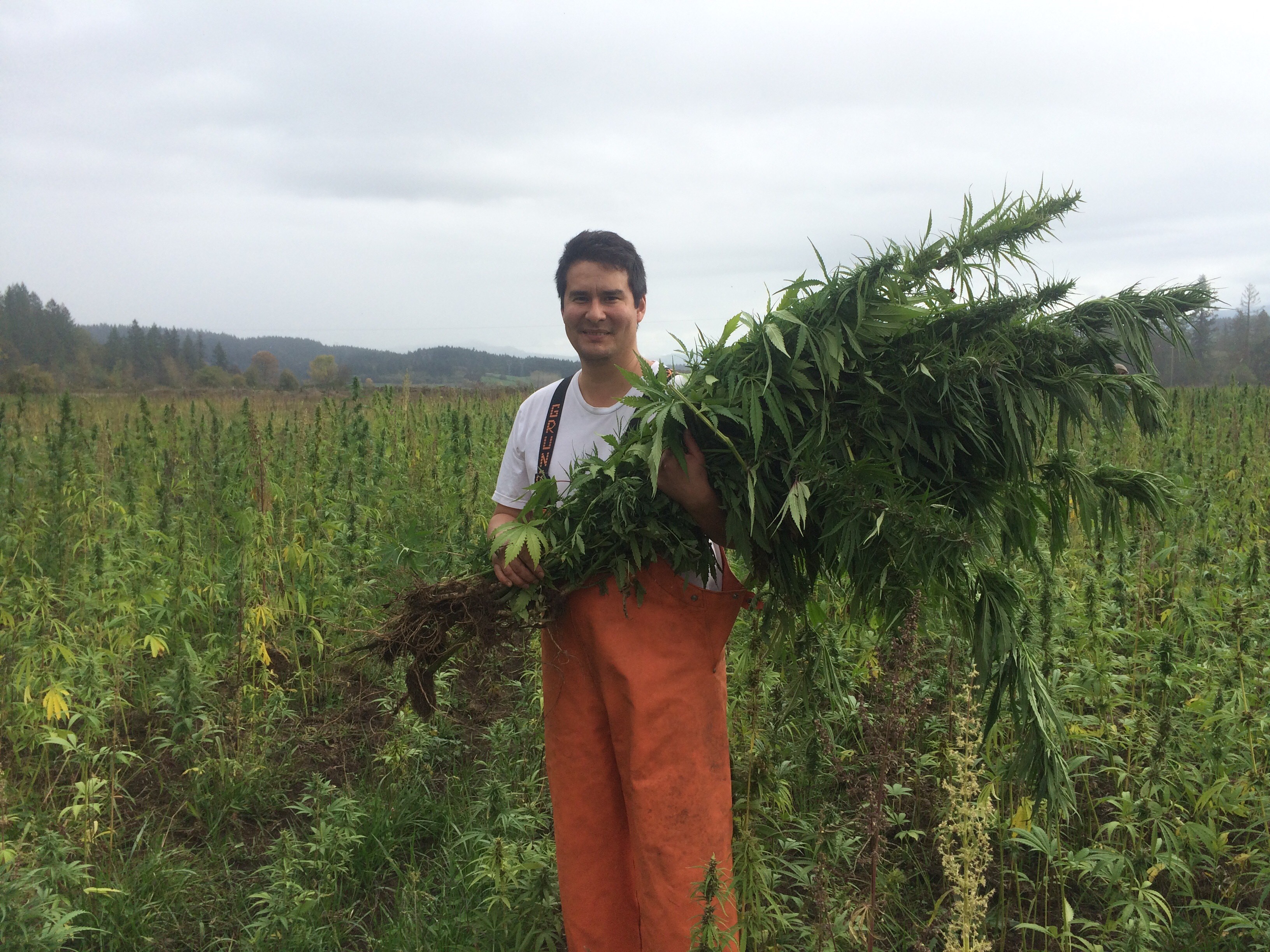 Alaska farmers push for hemp legalization