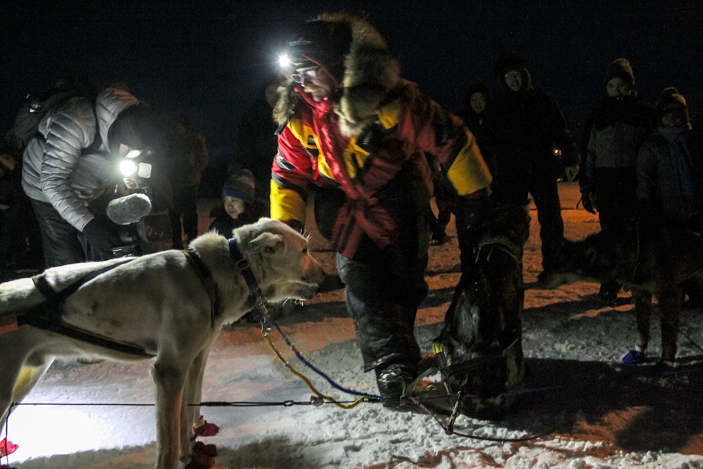 Mitch Seavey is first musher to Huslia checkpoint
