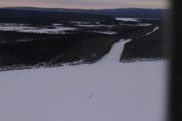 Musher suffers dog loss at Galena checkpoint