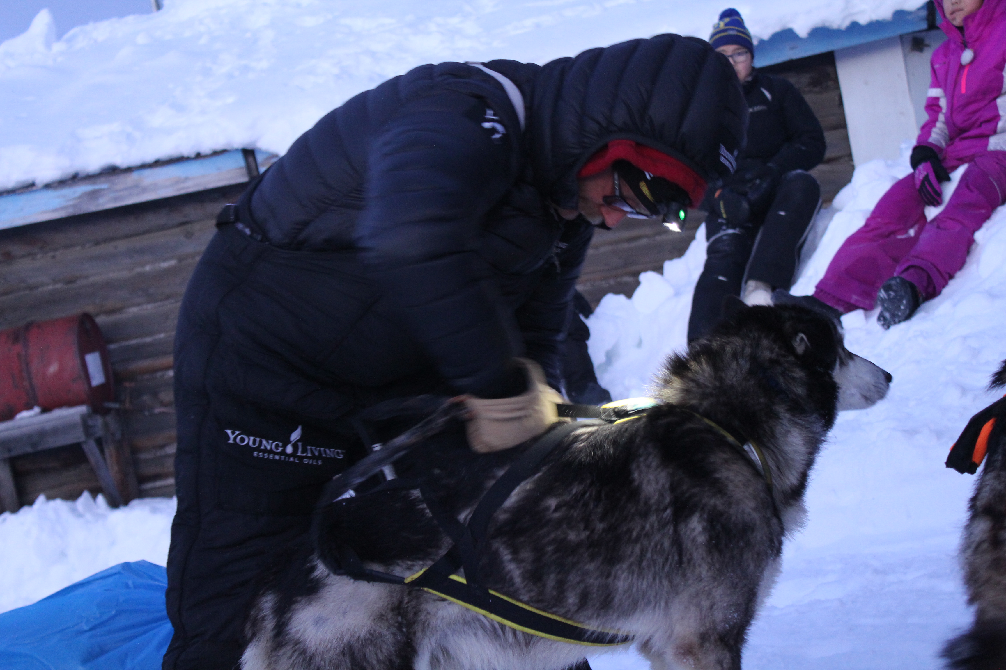 Nome could see Iditarod champ as early as Tuesday afternoon