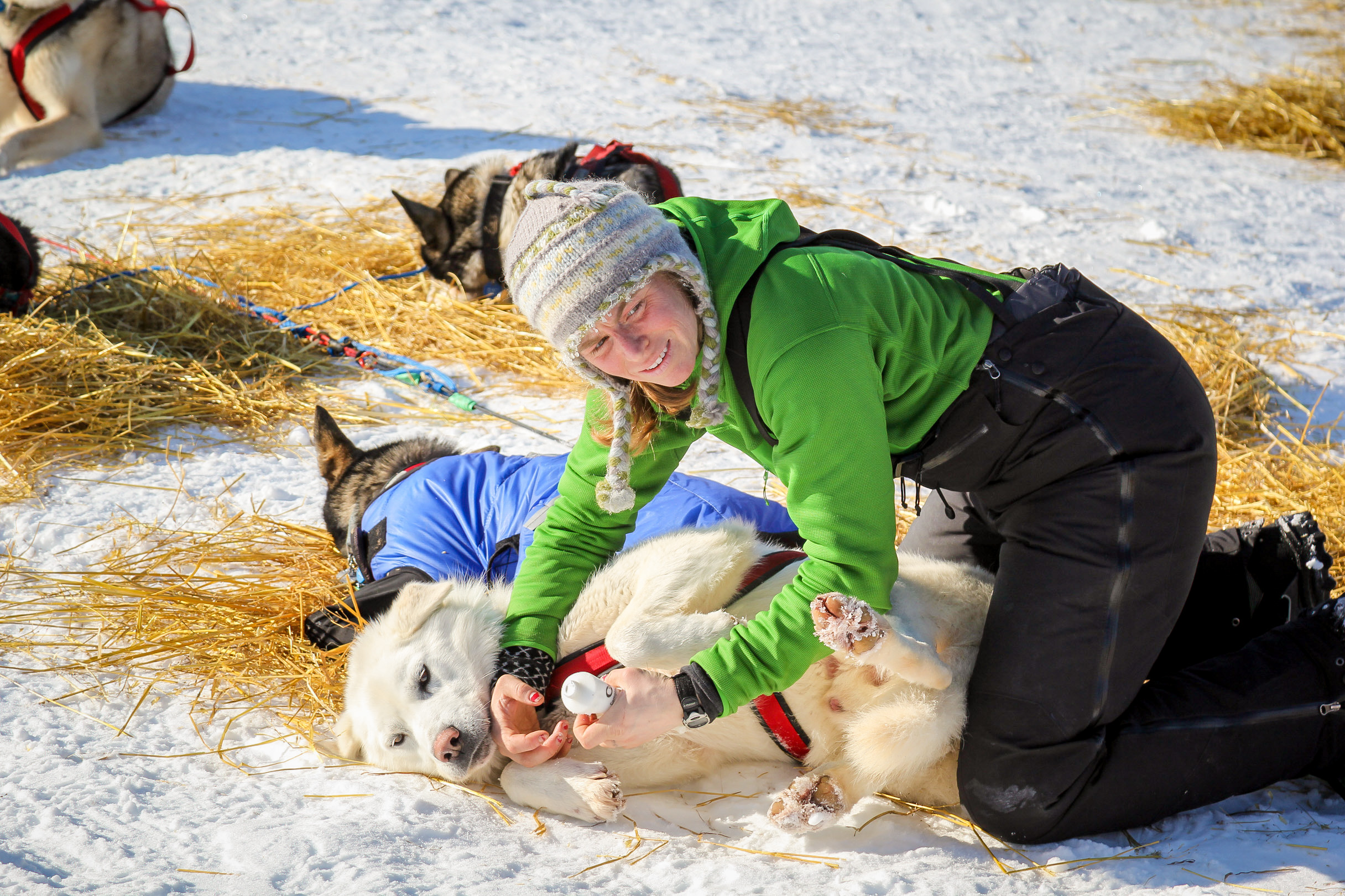 Iditarod’s mid-pack mushers prepare final pushes to Nome