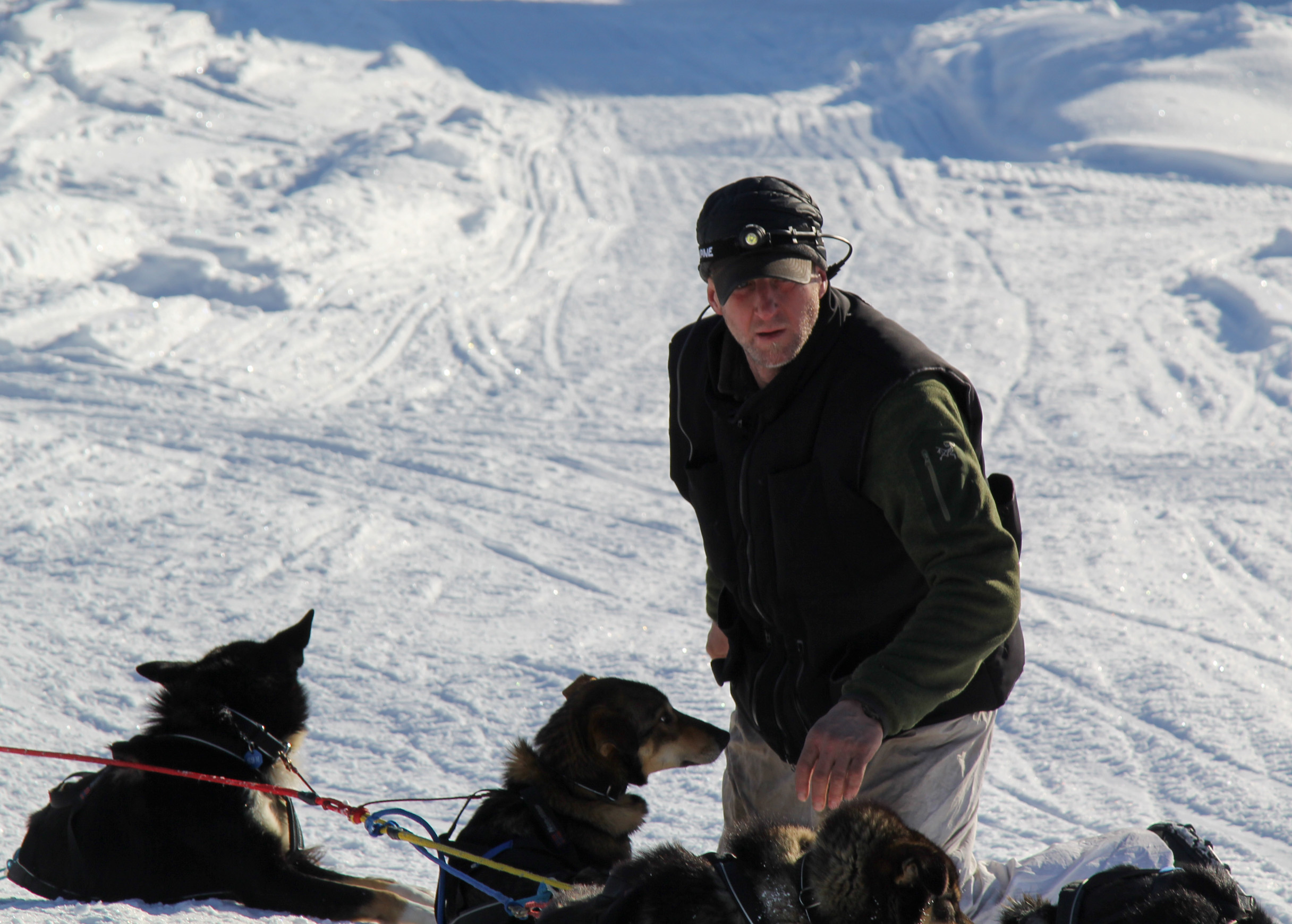 Iditarod changes dropped dog transport standards following Friday death