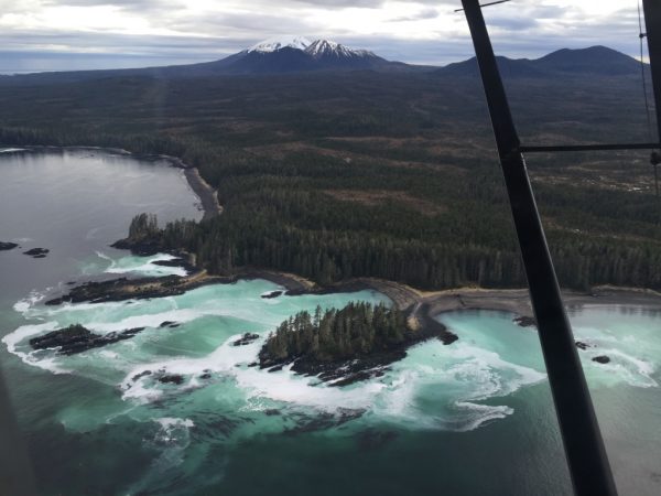 AK: Fishing for herring from the sky