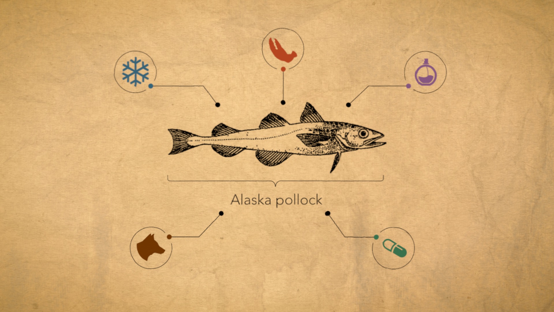 Video: Generating power from pollock