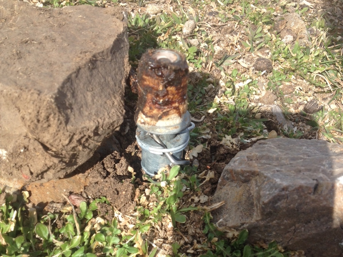 Calls Mount For Ban On ‘Cyanide Bombs’ After Death Of Family Pet