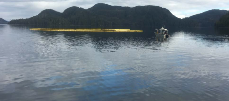 Tugboat carrying over 300 lbs of oil sinks in Sitka