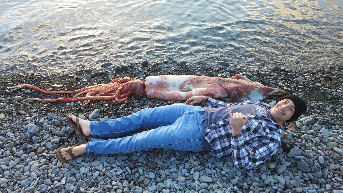 Two dead squid in two weeks: Coincidence?