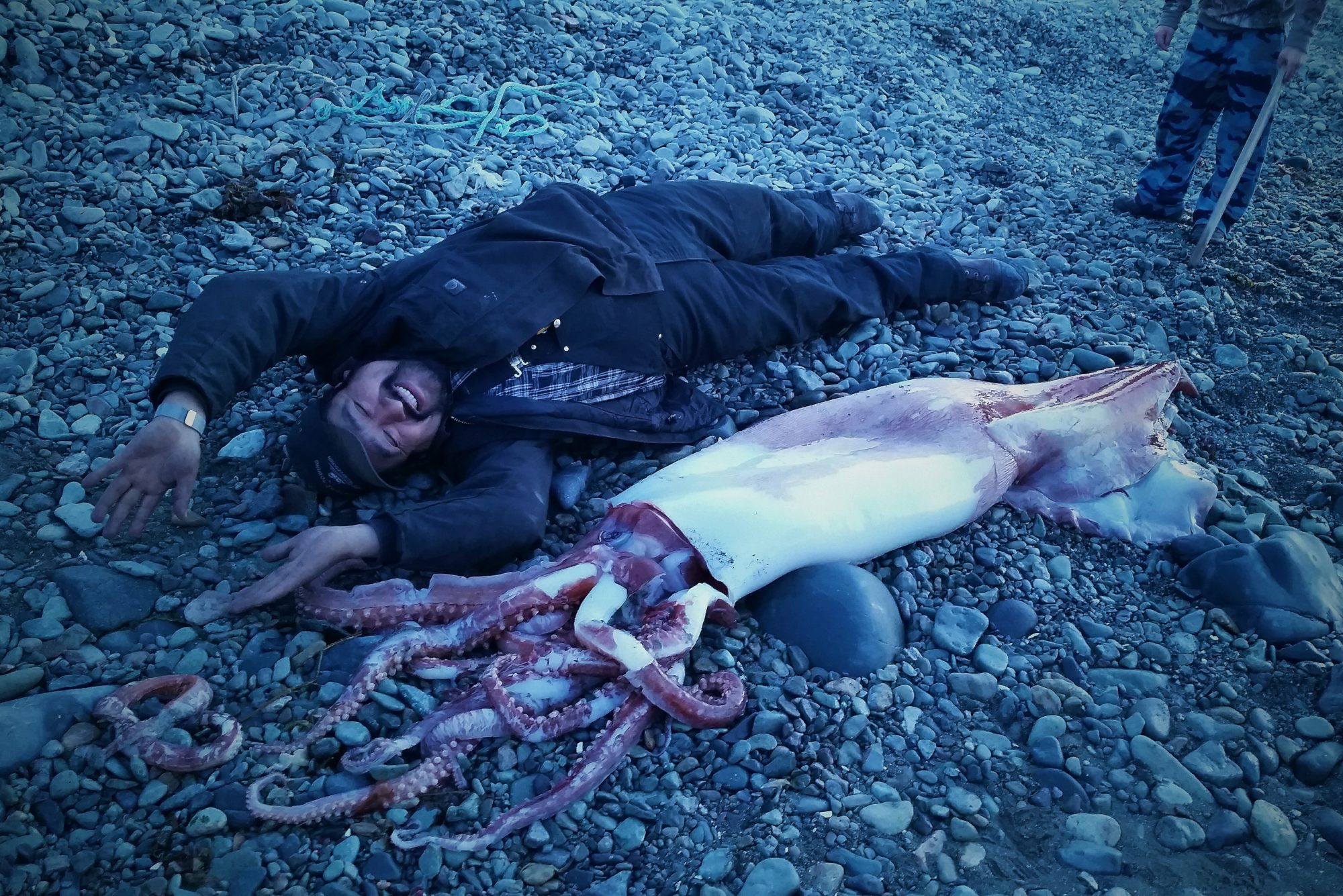 Unalaska receives surprise visitor from the deep