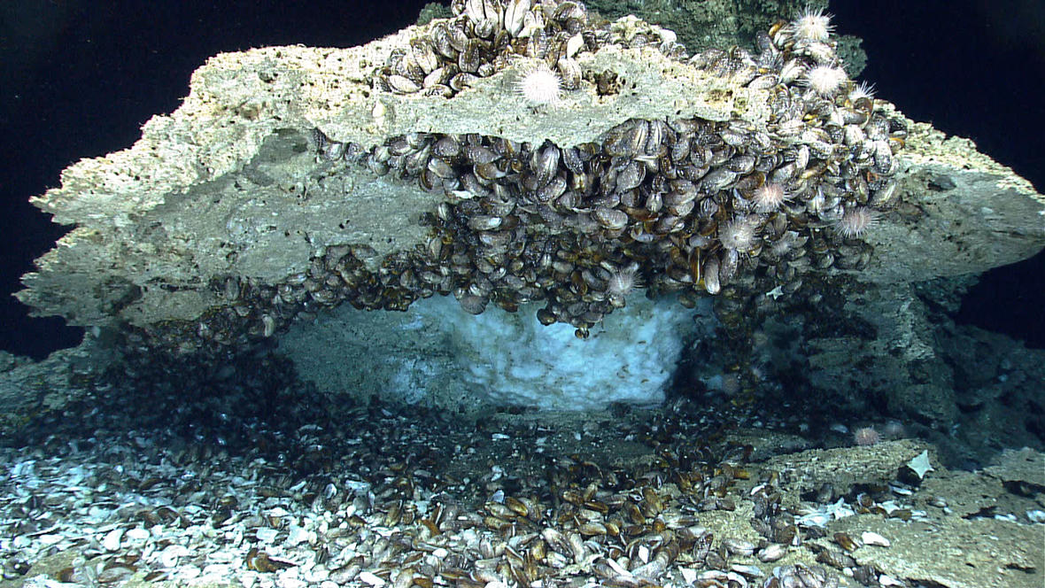 Ask a Climatologist: Should we be worried about methane hydrates on the sea floor?