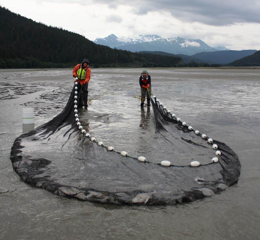 Scientists see the future in the bellies of fish