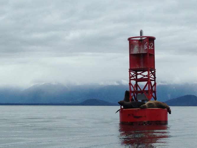 Business as usual for marine mammal deterrence
