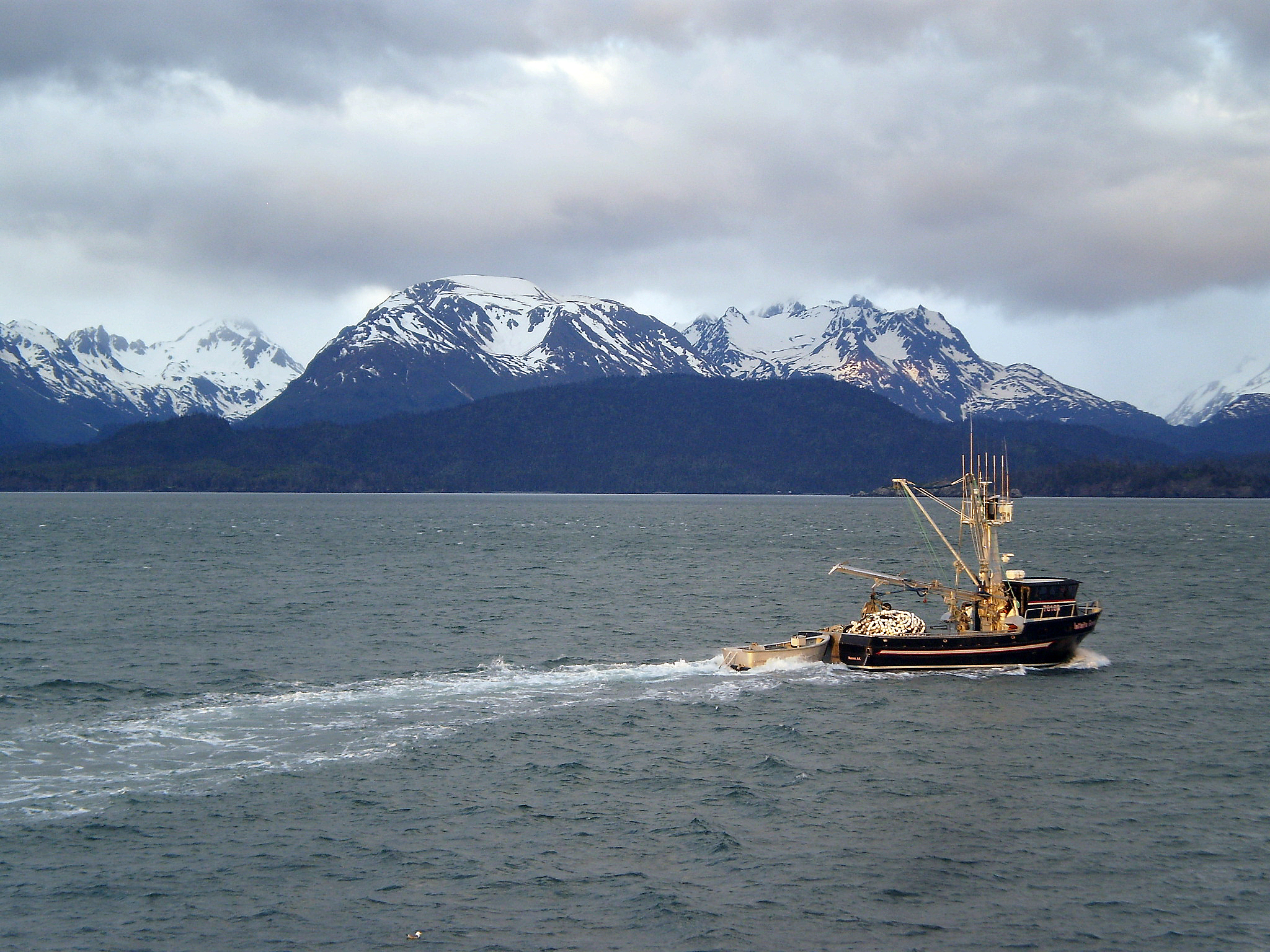 Study examines the ripple effect of fishing charter’s choices
