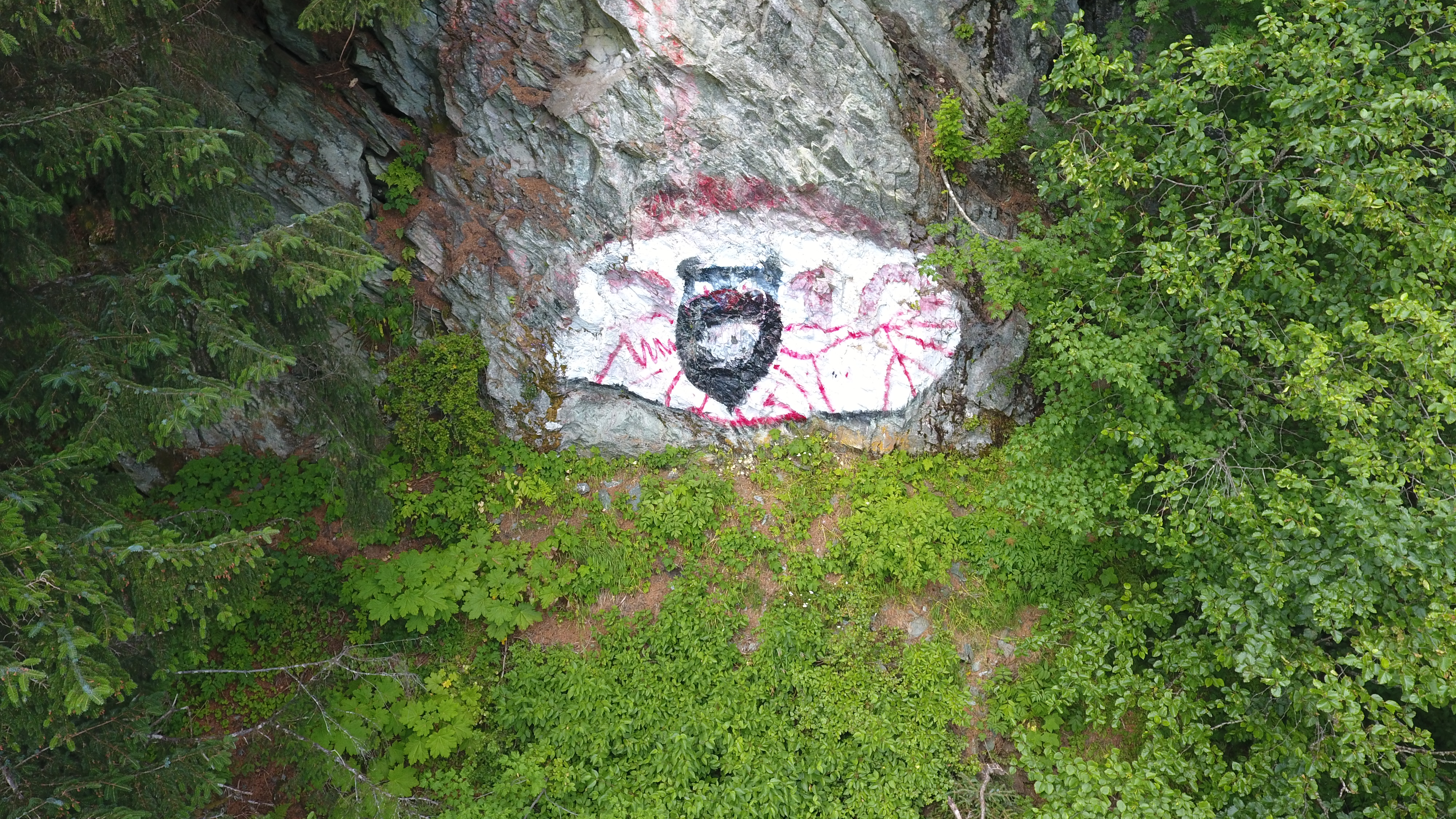 Curious Juneau looks into the eye of Mount Juneau