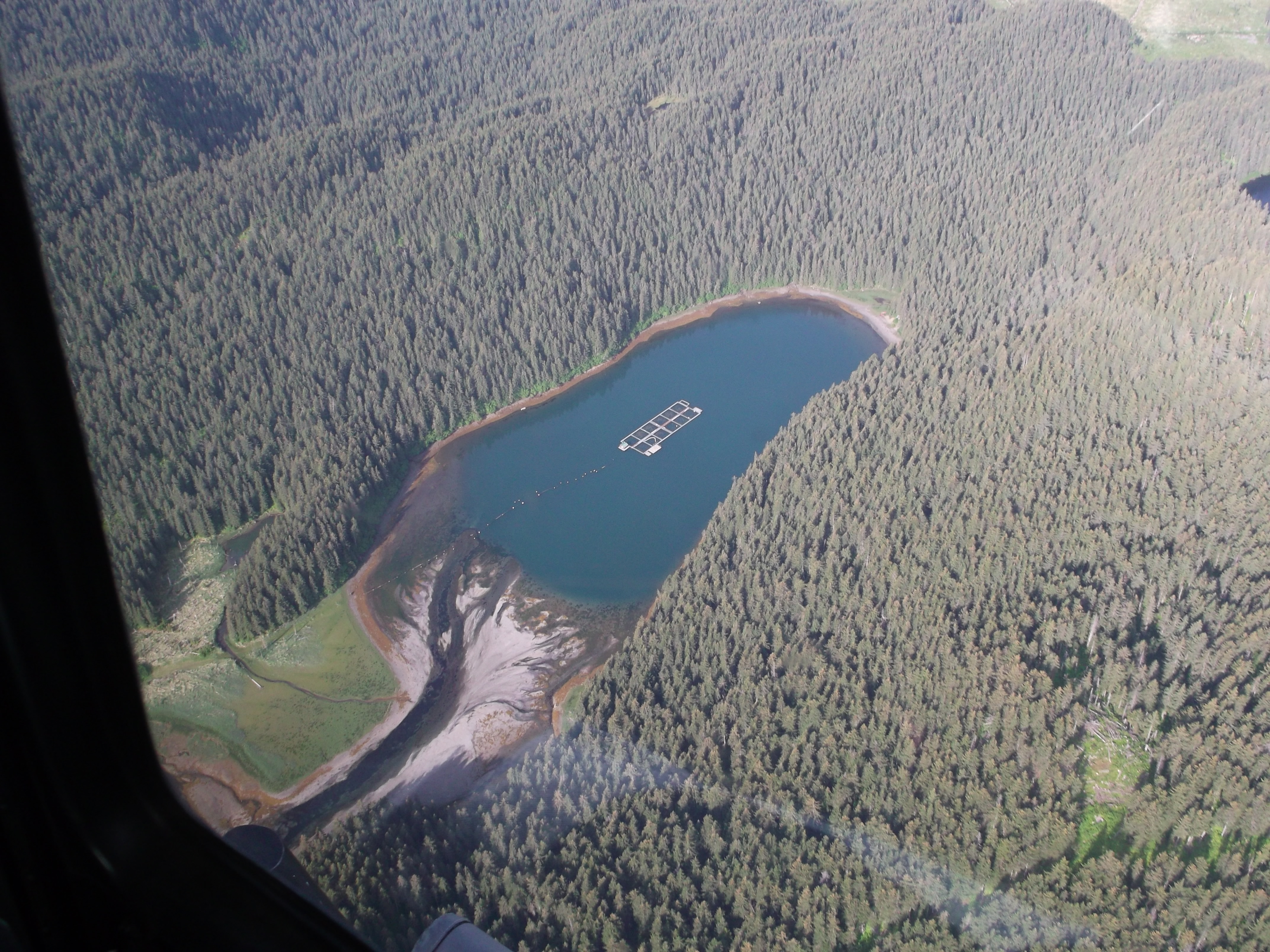 Aquaculture association commissions study in Tutka Bay