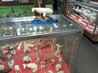 An ivory carving of a beluga whale is set to be purchased by a couple from Washington State. (Photo by Davis Hovey/KNOM)