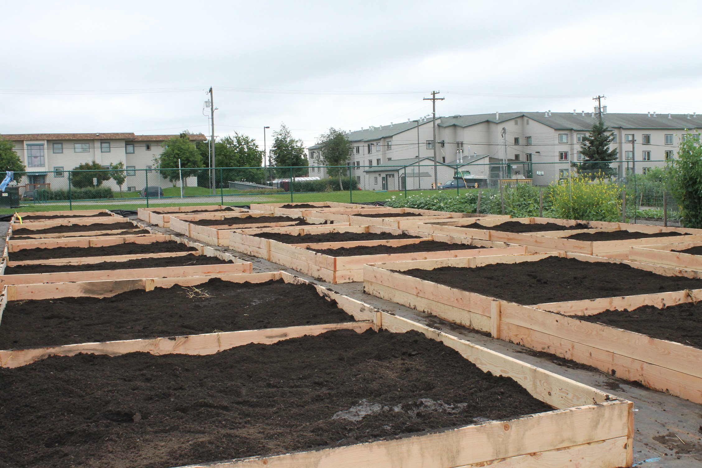 anchorage parks anchorage parks and recreation builds new community garden plots to keep up with demand anchorage parks anchorage parks and recreation builds new community garden plots to keep up with demand