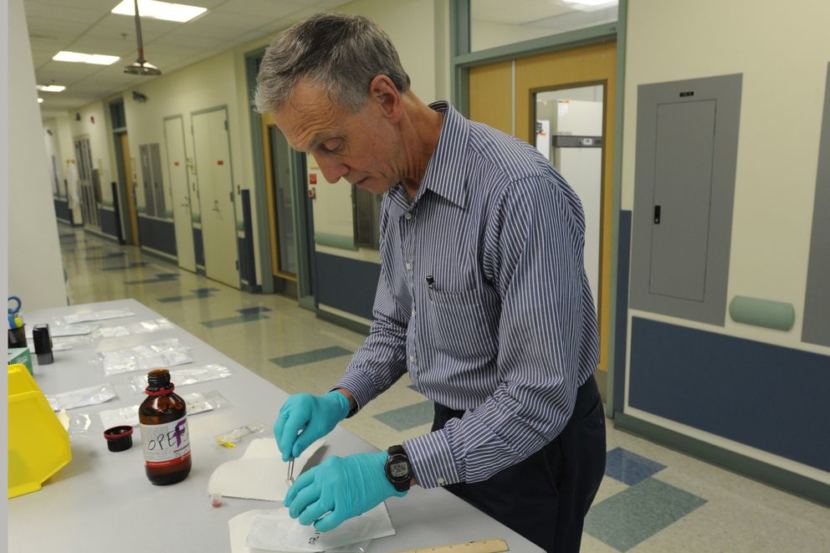 State veterinarian Bob Gerlach looks at one of the ticks found in Alaska and sent into his office. (Photo by Bill Roth/ADN)