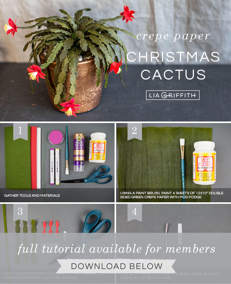 make your own christmas cactus