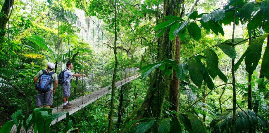 LIG-Costa-Rica-Feature-OX-920x456