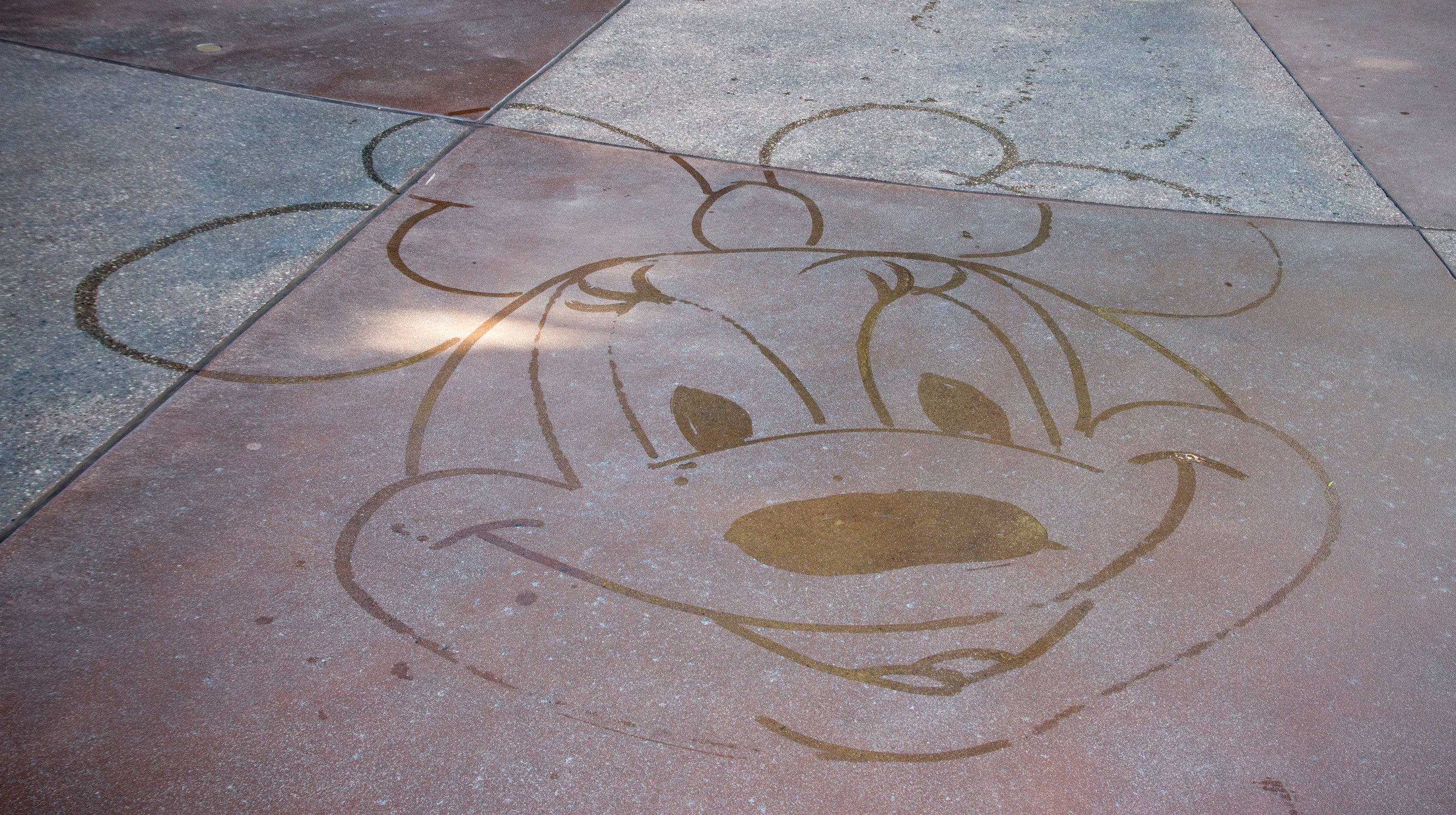 Brand Community Model Disneyland