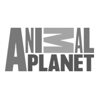 Animal planet