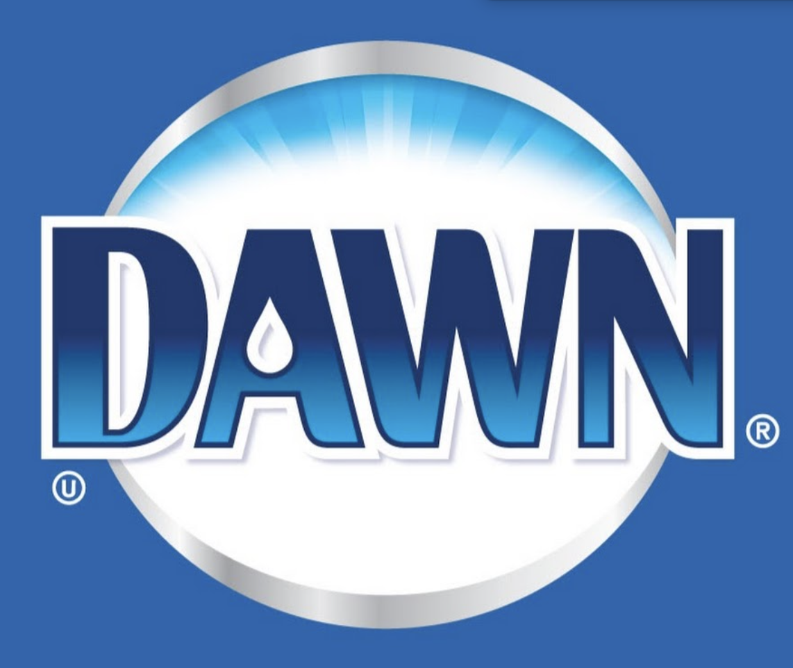 Dawn