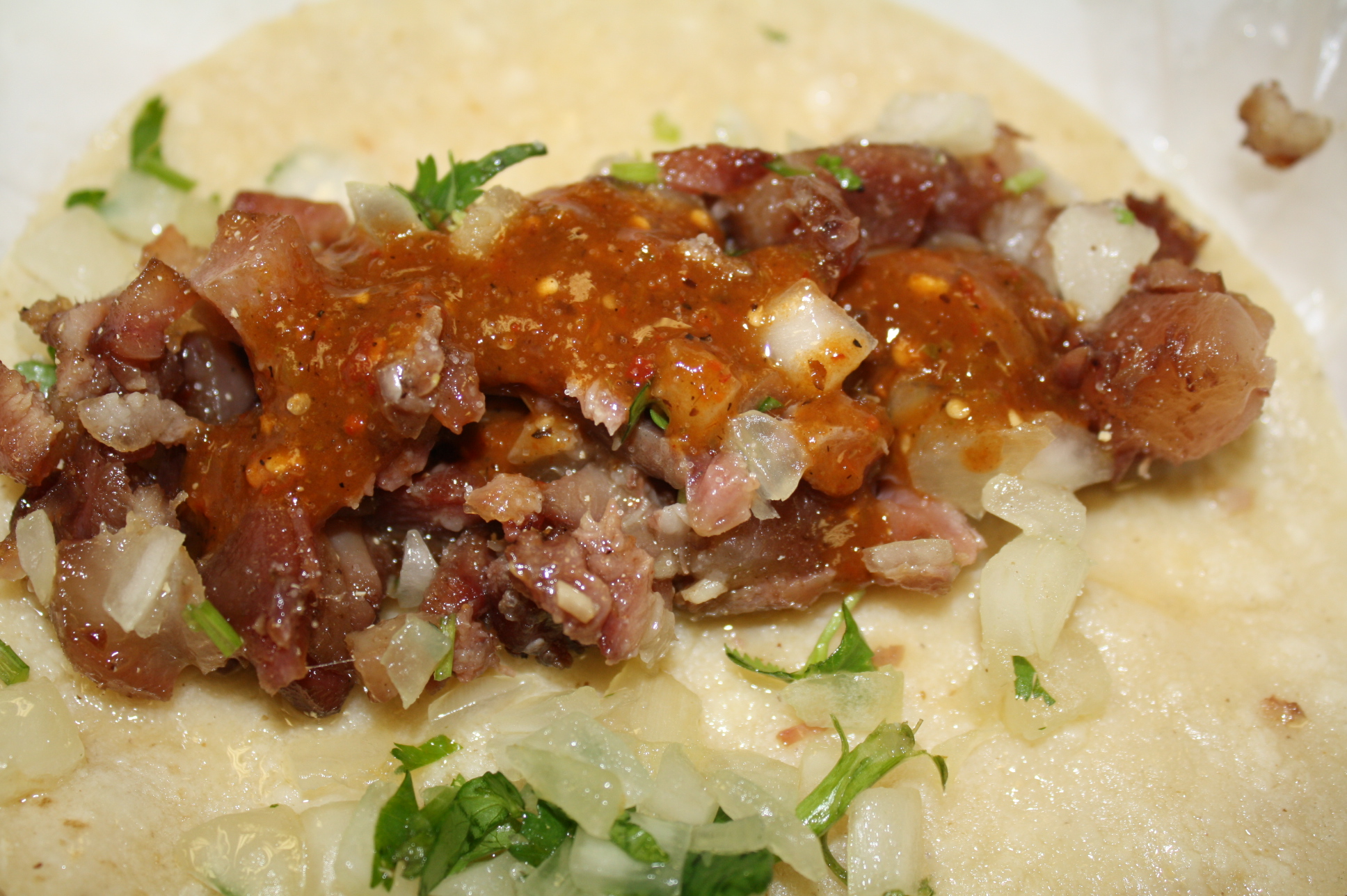 Los tacos de trompa con salsa de chile de árbol son un fenómeno. (Foto de Agustín Durán/El Pasajero).