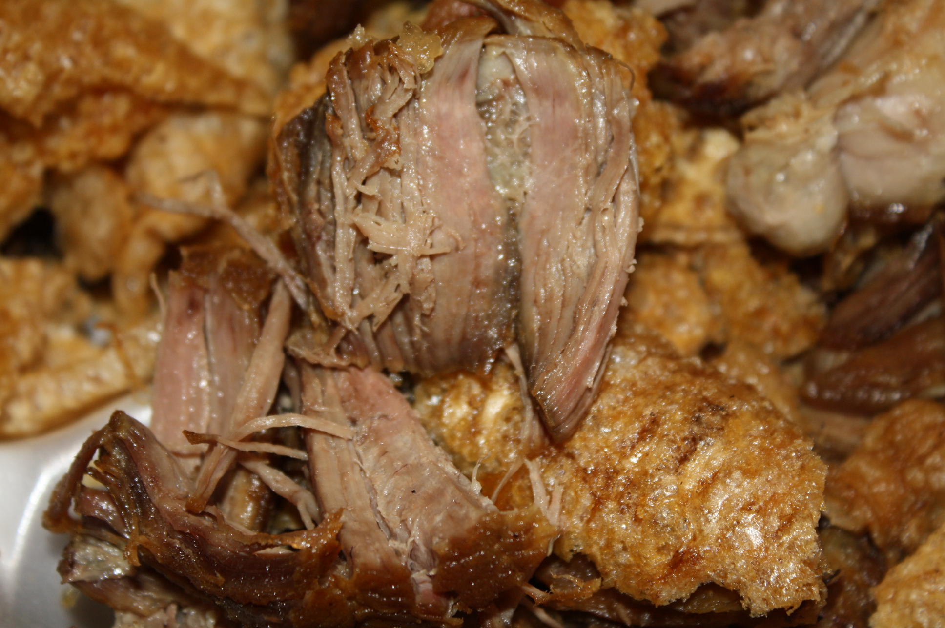 Las carnitas en la Amapola Mexican Deli es uno de los platillos más populares. (Foto de Agustín Durán/El Pasajero).