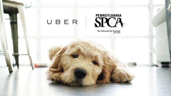 Foto: Campaña promocional de Uber.