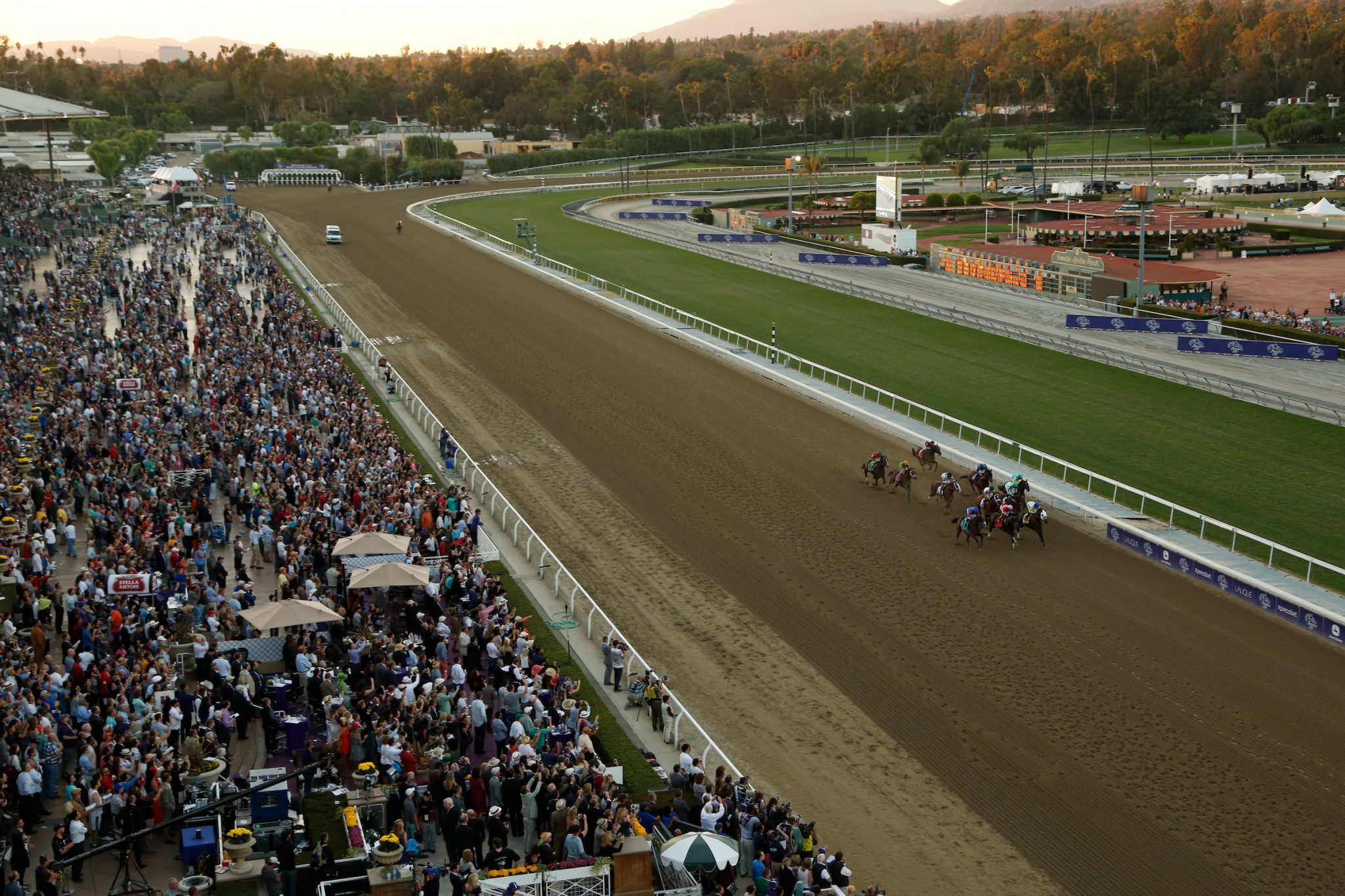 Arcadia, CA - Santa Anita - Mucho Macho Man with Gary Stevens aboard wins the $5 Million Breeders' Cup Classic for trainer Katherine Ritvo and owner Reeves Thoroughbred Racing here today, Saturday November 2, 2013 during the Breeders' Cup World Thoroughbred Championships. Photo by © Breeders' Cup/Todd Buchanan 2013
