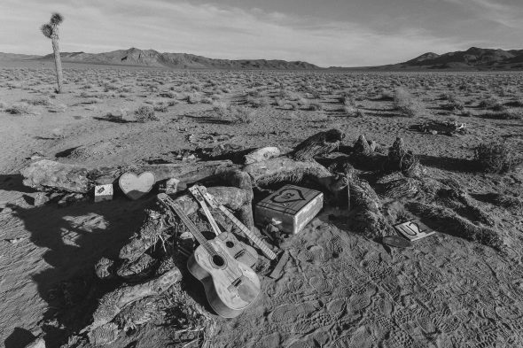 Por cierto, The Josua Tree que aparece en la portada de atrás del álbum está solamente a 27 millas al centro del desierto desde la parada más cercana de un autobús. Foto: cortesía Steve Hymon.
