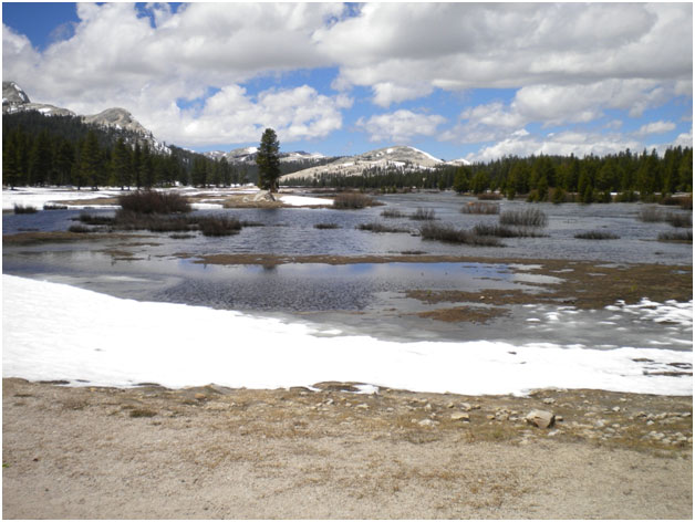 Tuolumne