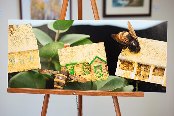 Jane Gillespie Pryor's original artwork