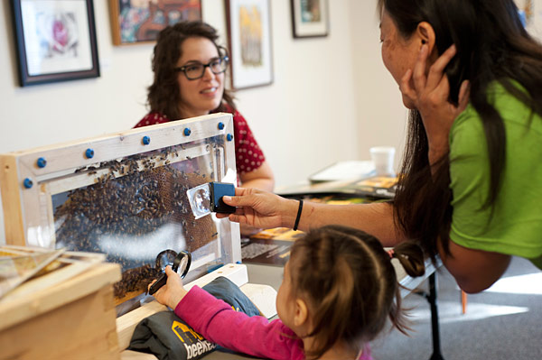 Bees make a home in the frame as beekeeper Roberta Kato shares discovery with mesmerized child.