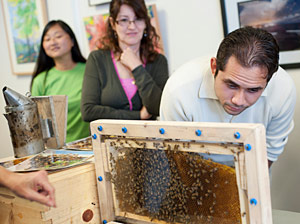 Meet the bees Whittier denizens get up a close-up look at a bee colony.