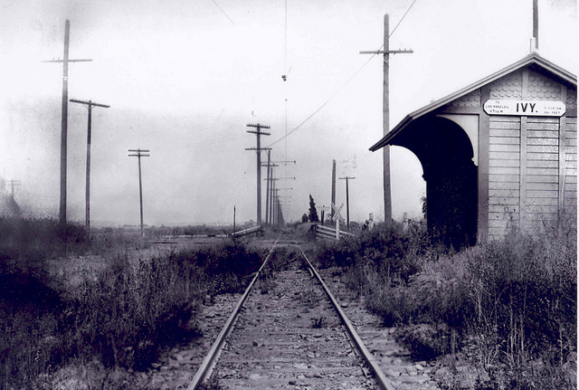 Ivy Station