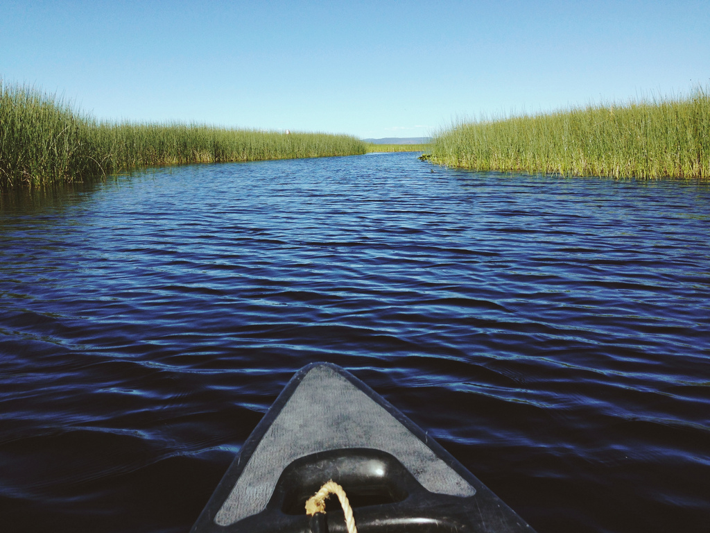 Upper Klamath National Wildlife Refuge as seen from a canoe. Photo by Steve Hymon.
