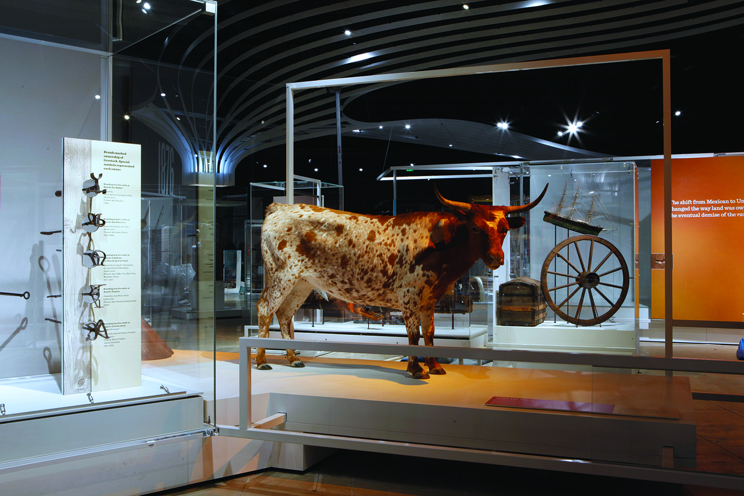 What do cows have to do with changing L.A.? Go to the NHM and find out! Photo: Natural History Museum of Los Angeles County