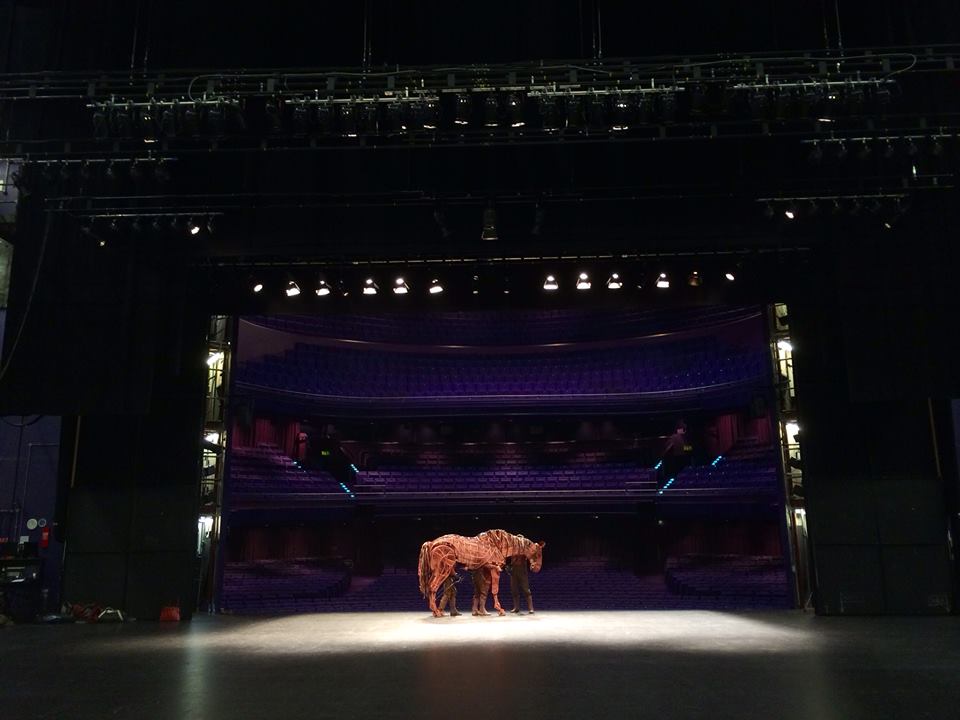 Catch War Horse on Friday or Sunday and save on tickets with your TAP card. Photo: War Horse Official Facebook