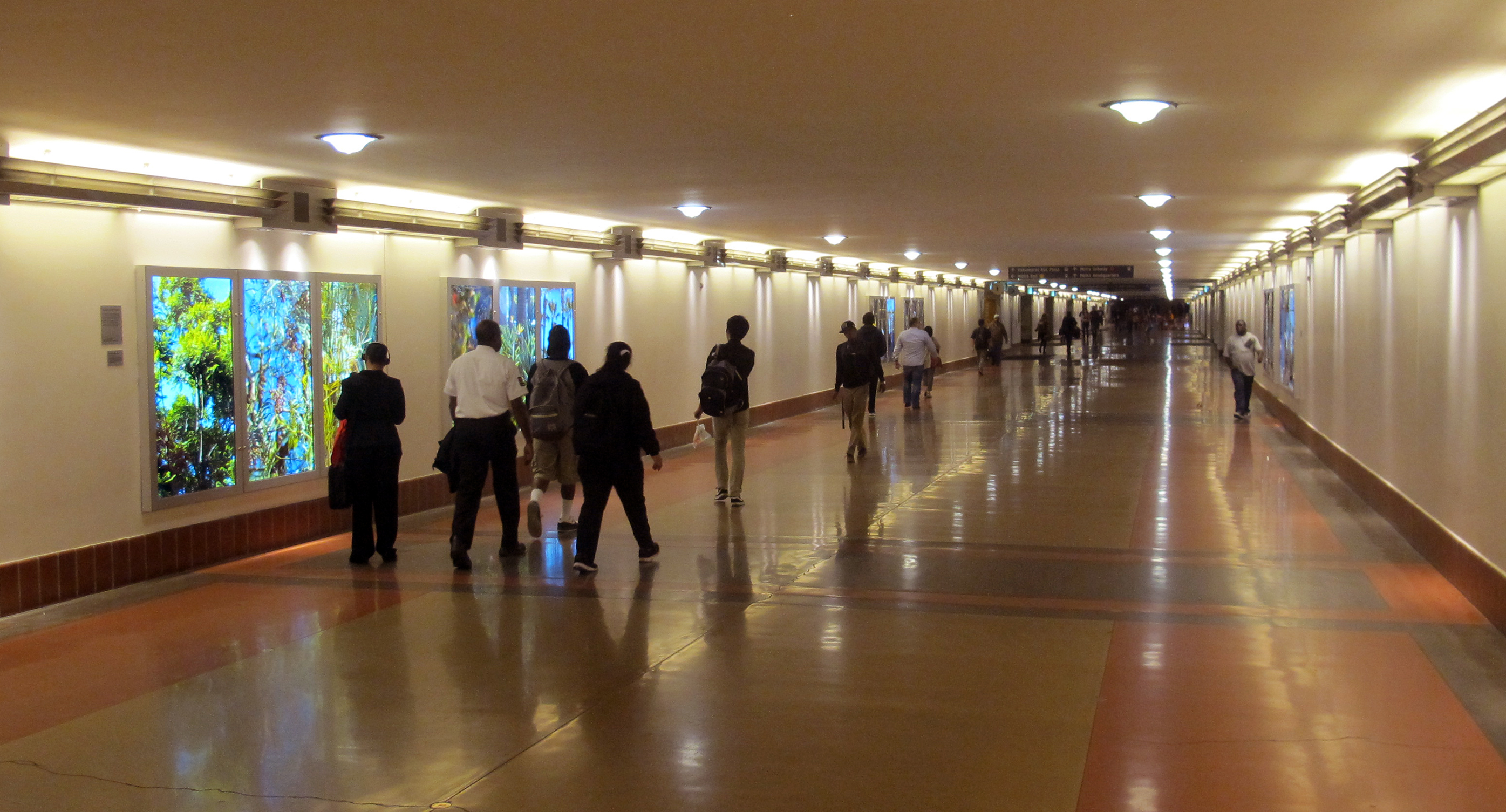 New lightbox art displays at Union Station show “The Heart of Los