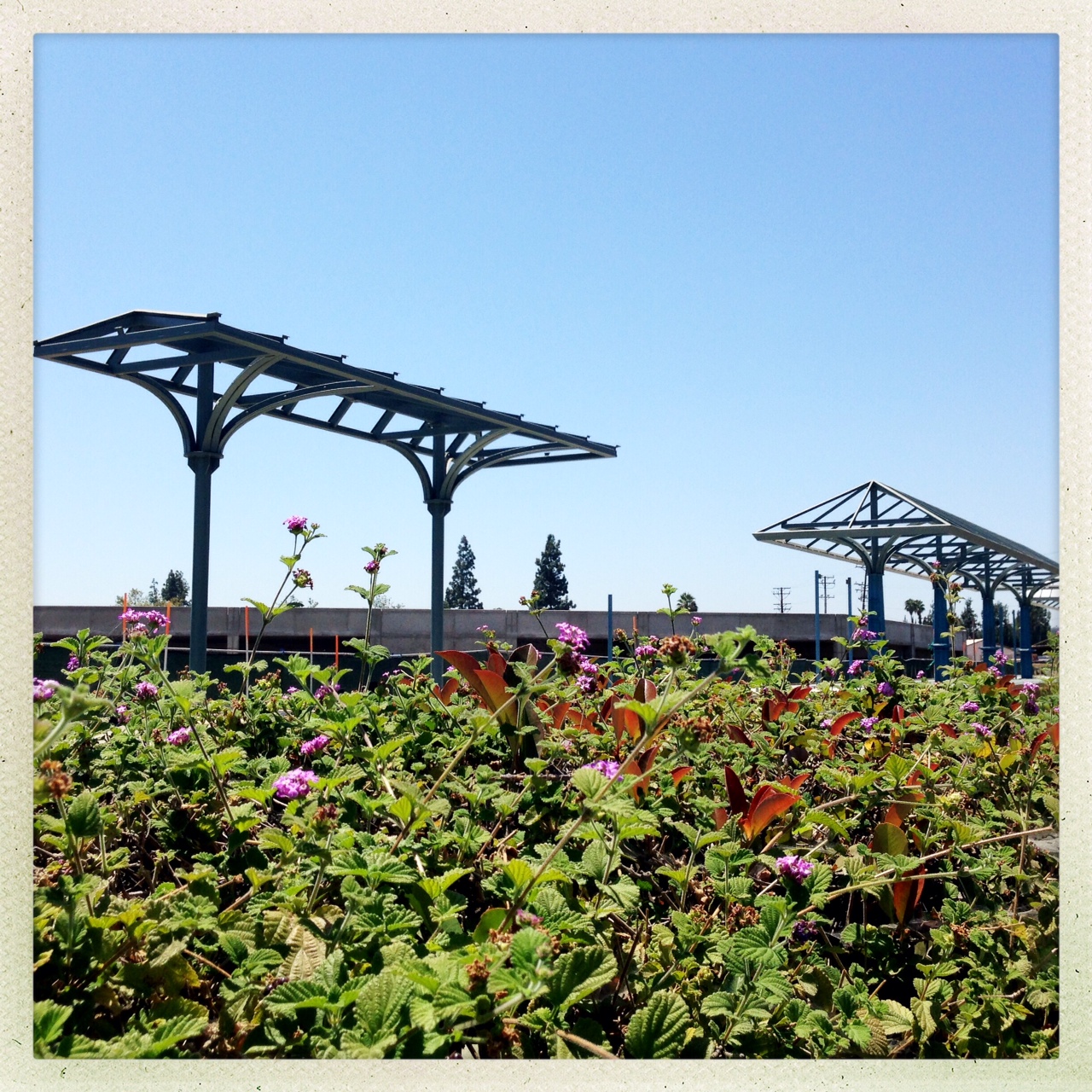 ART OF TRANSIT: The new platform for the Arcadia station along the Gold Line Foothill Extension. Photo by Steve Hymon/Metro.