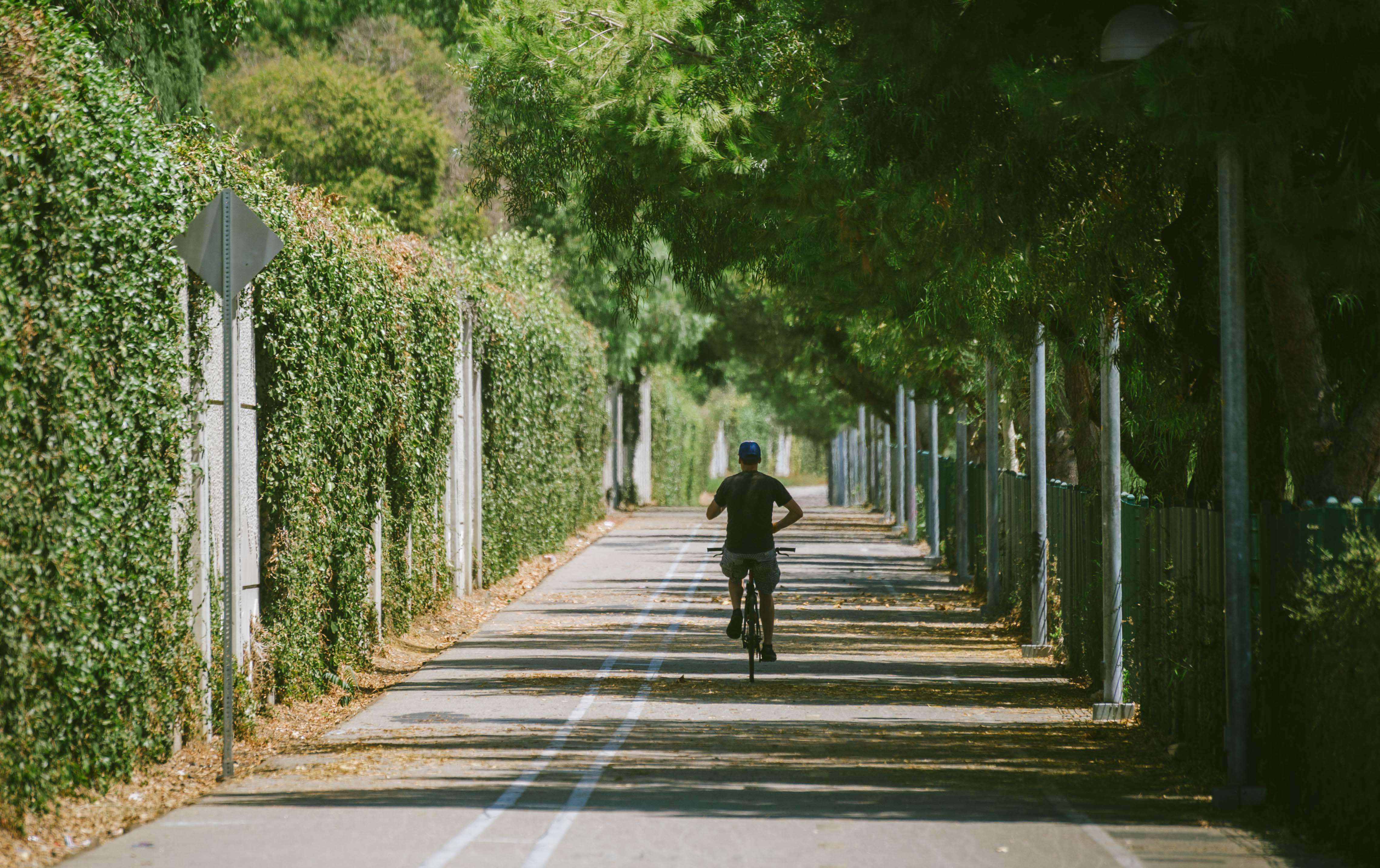 ART OF TRANSIT: A cyclist on the bike path adjacent to the Orange Line -- this is the stretch just east of Hazeltine. More Orange Line stock photos free for anyone that needs them on our Flickr site. Just click above. Photo by Steve Hymon/Metro.