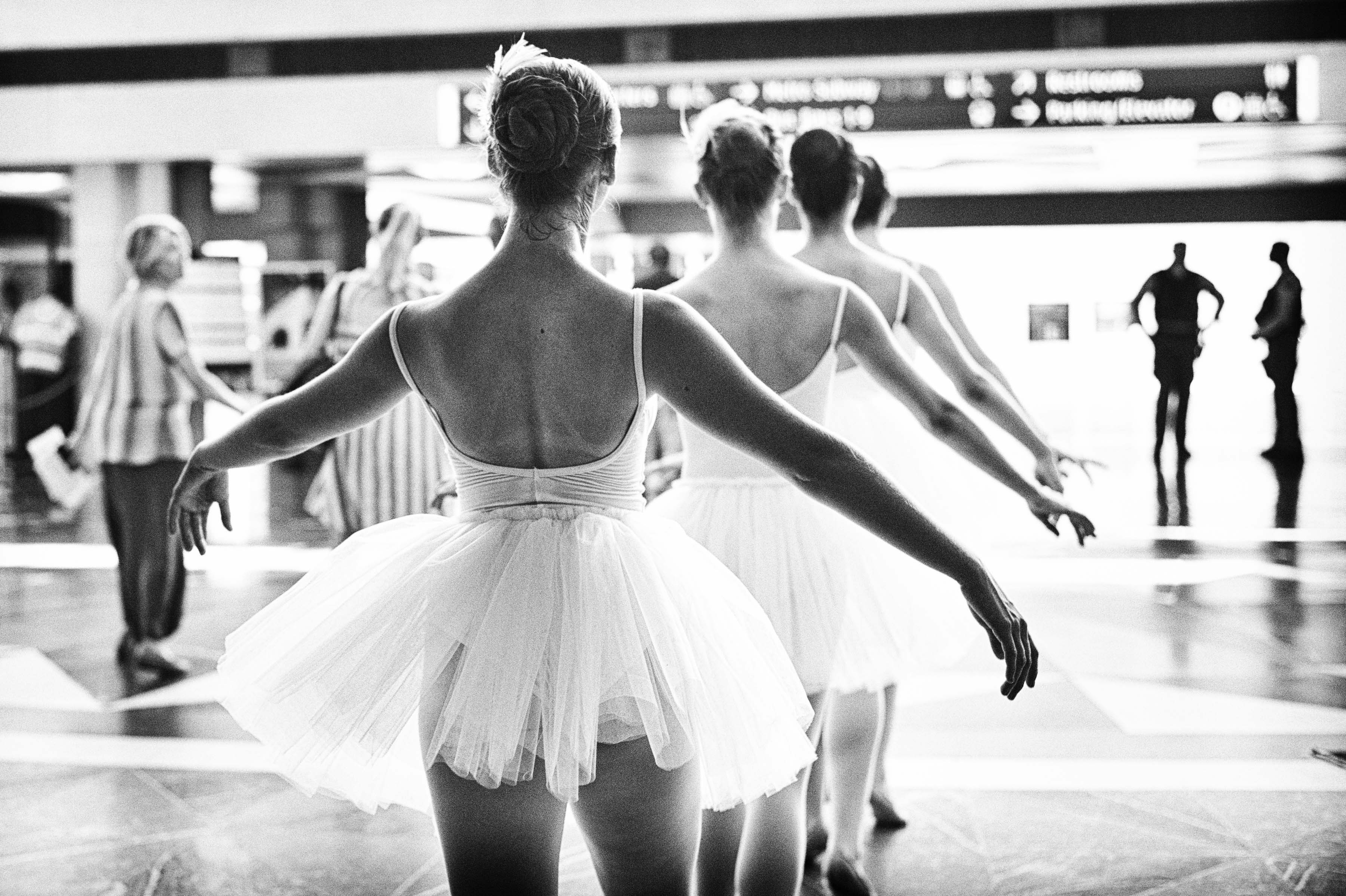 ART OF TRANSIT: Four swans visiting Union Station last week. Check out Metro's promotion with the Music Center for tickets to "Swan Lake" by clicking on the photo.