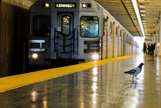ART OF TRANSIT: A potential passenger? Taken in Toronto. Photo by Jamaal, via Flickr creative commons.