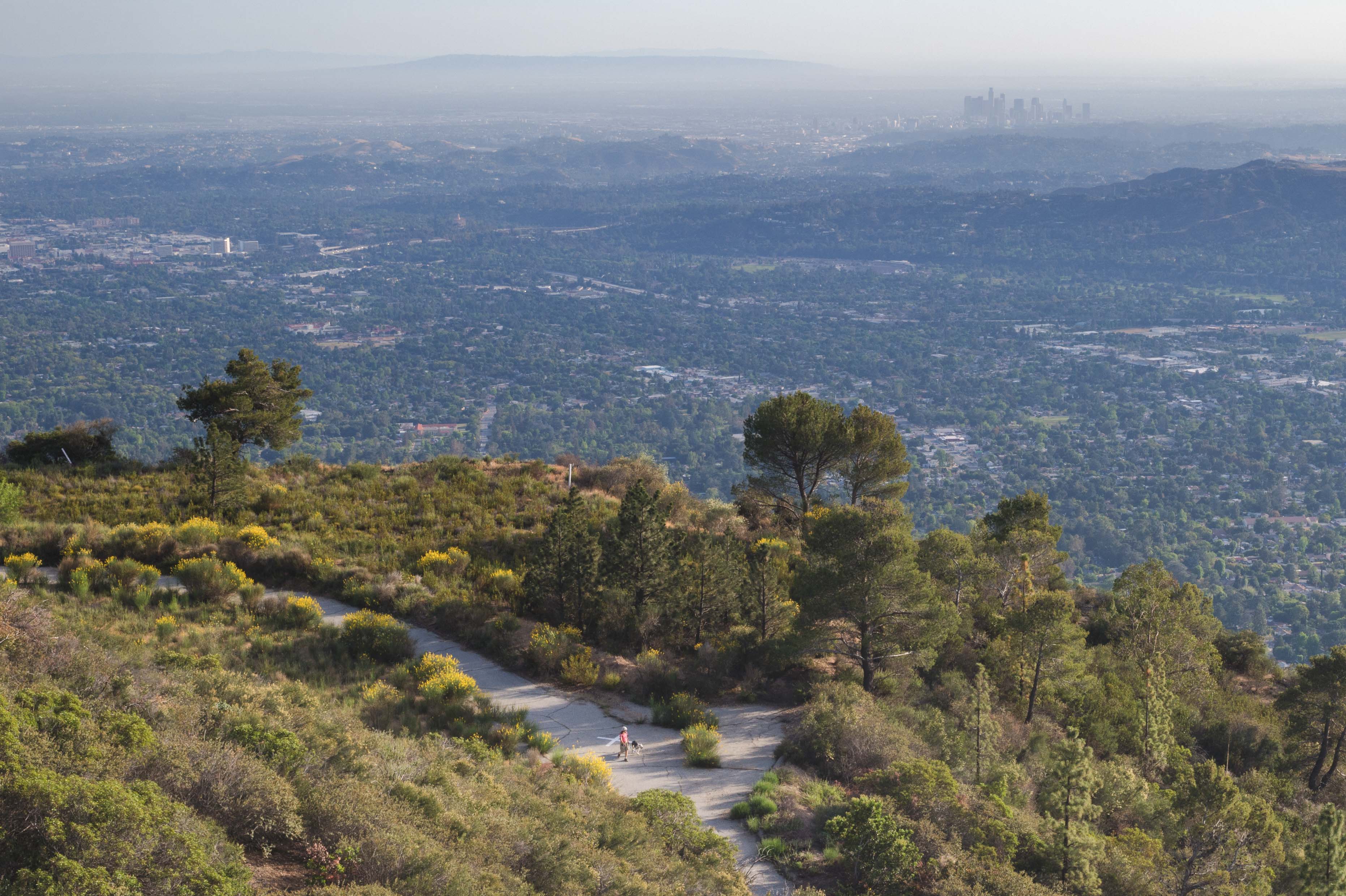 ART OF TRANSIT: A hiker and dog two/four-leg it on the Sunset Ridge fire road above Altadena on Sunday. Photo by Steve Hymon